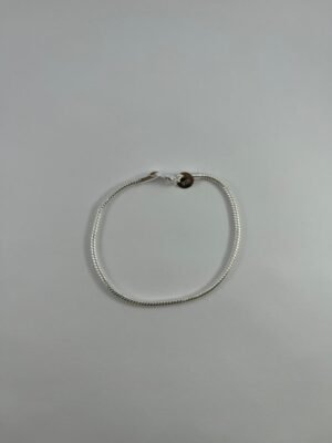 2025/10/IMG-20251009-WA0009.jpg Pulsera de Cadena de Serpiente